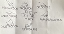Memory des dinosaures